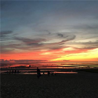 49图库一资料中心手机app下载