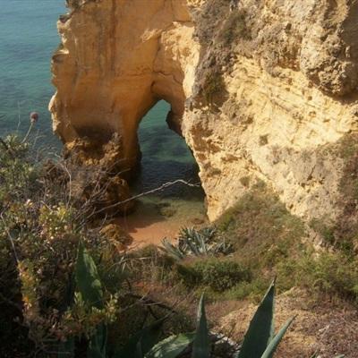 亚博足球外围软件手机app下载截图